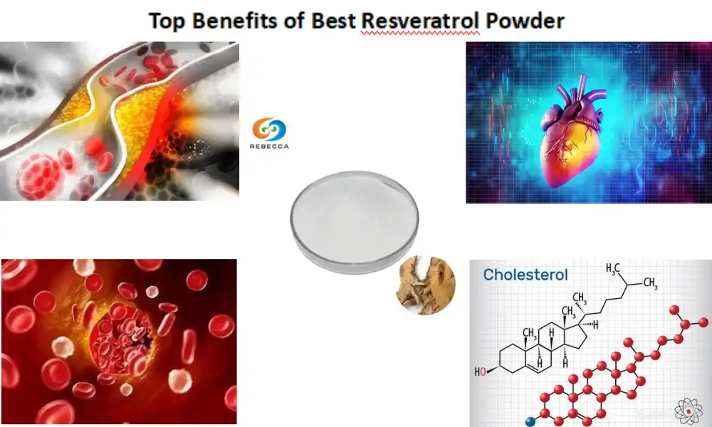 Top Benefits of Best Resveratrol Powder